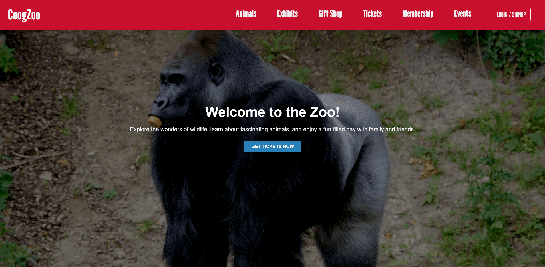 CoogZoo zoo management system dashboard
